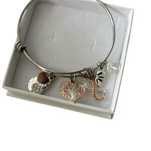 Silver charm bracelet
#family 
Brand new